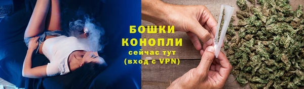 спайс Заречный