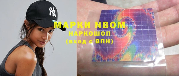прущая мука Вяземский