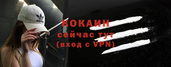прущая мука Вяземский