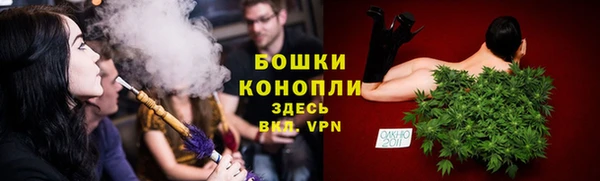 прущая мука Вяземский