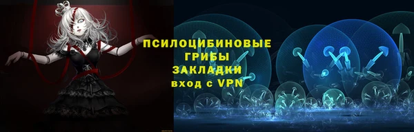 прущая мука Вяземский