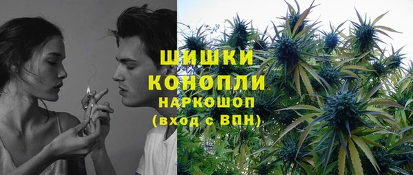 прущая мука Вяземский