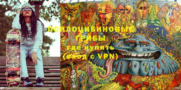 прущая мука Вяземский
