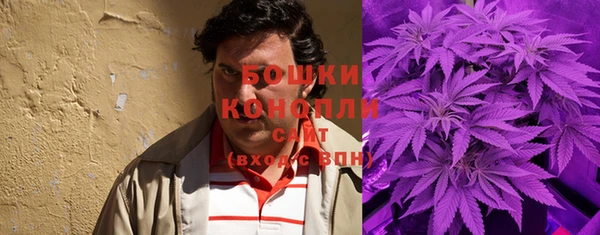 прущая мука Вяземский