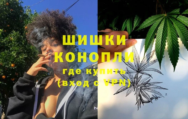 apvp Вязьма