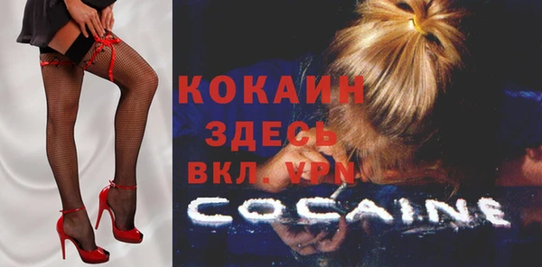 apvp Вязьма